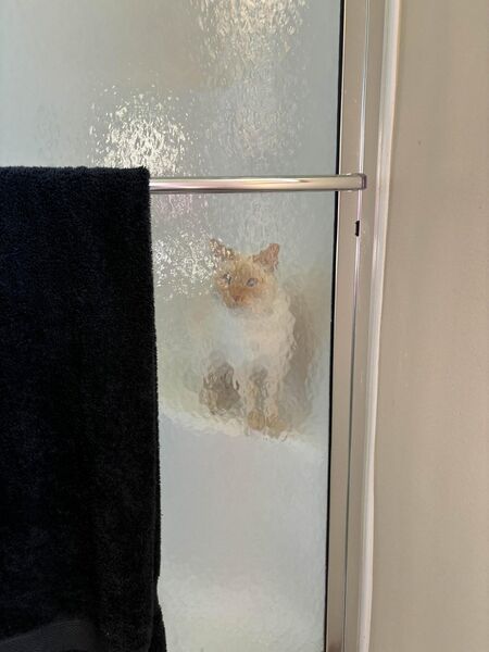 File:EnjoyingShower.jpg